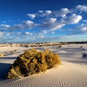 White Sands 01